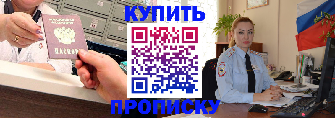 прописка в Сольцах